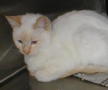 06Oliver